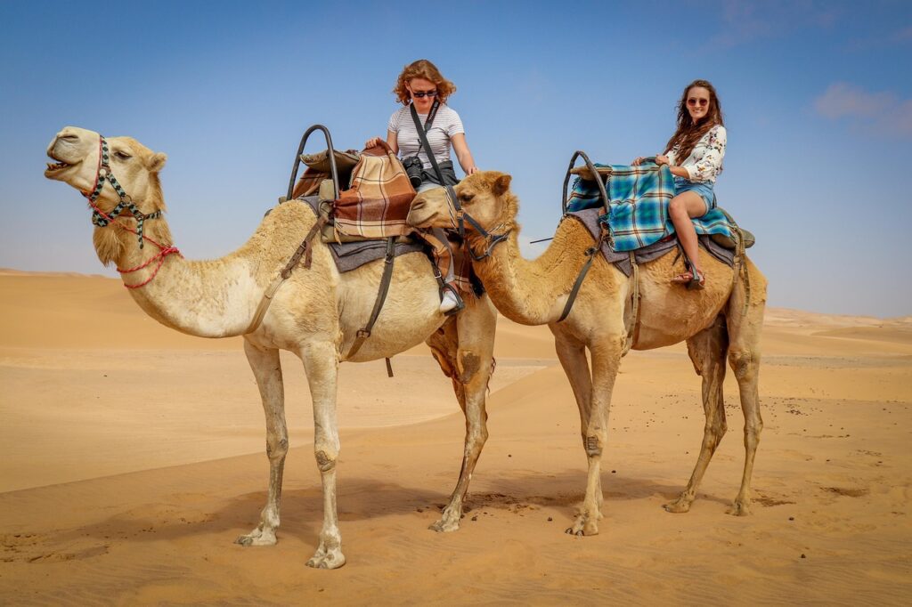 camel, desert, namib desert, nature, blue skies, namibians, camel rides, tourism, dune, brown desert